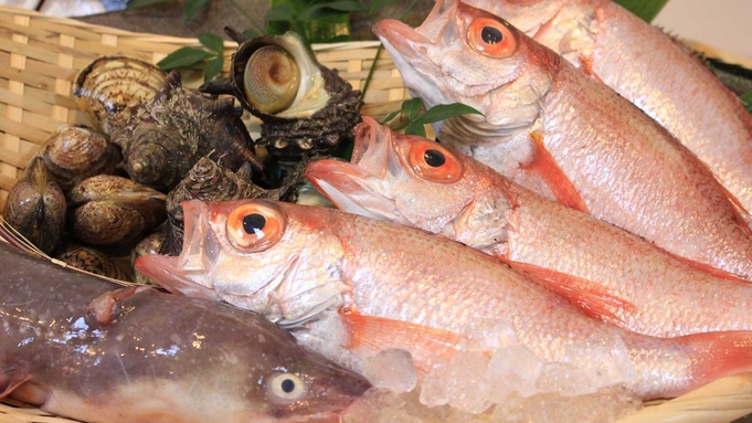 【のどぐろ・松コース】「のどぐろ」×「しまね和牛」島根県2大高級食材を贅沢にご堪能!